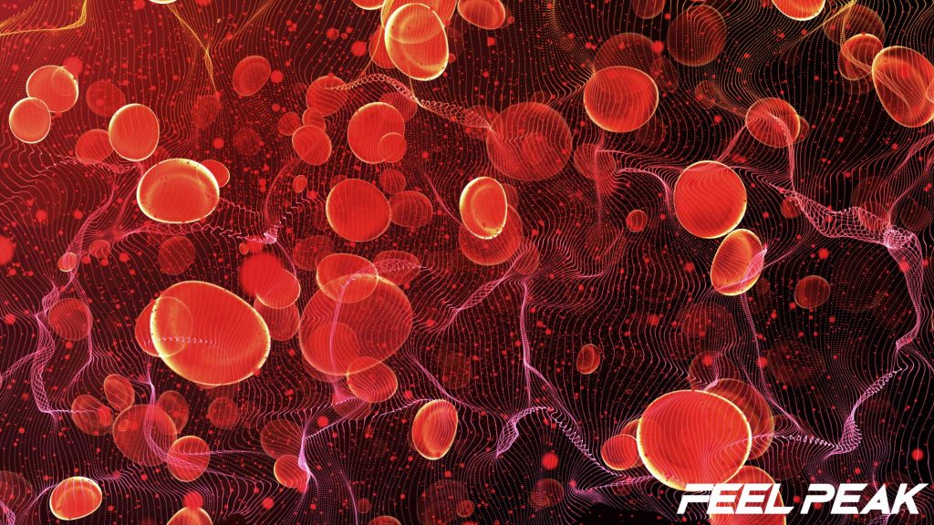 Best Nitric Oxide Supplements feature image